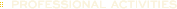 Professional Services